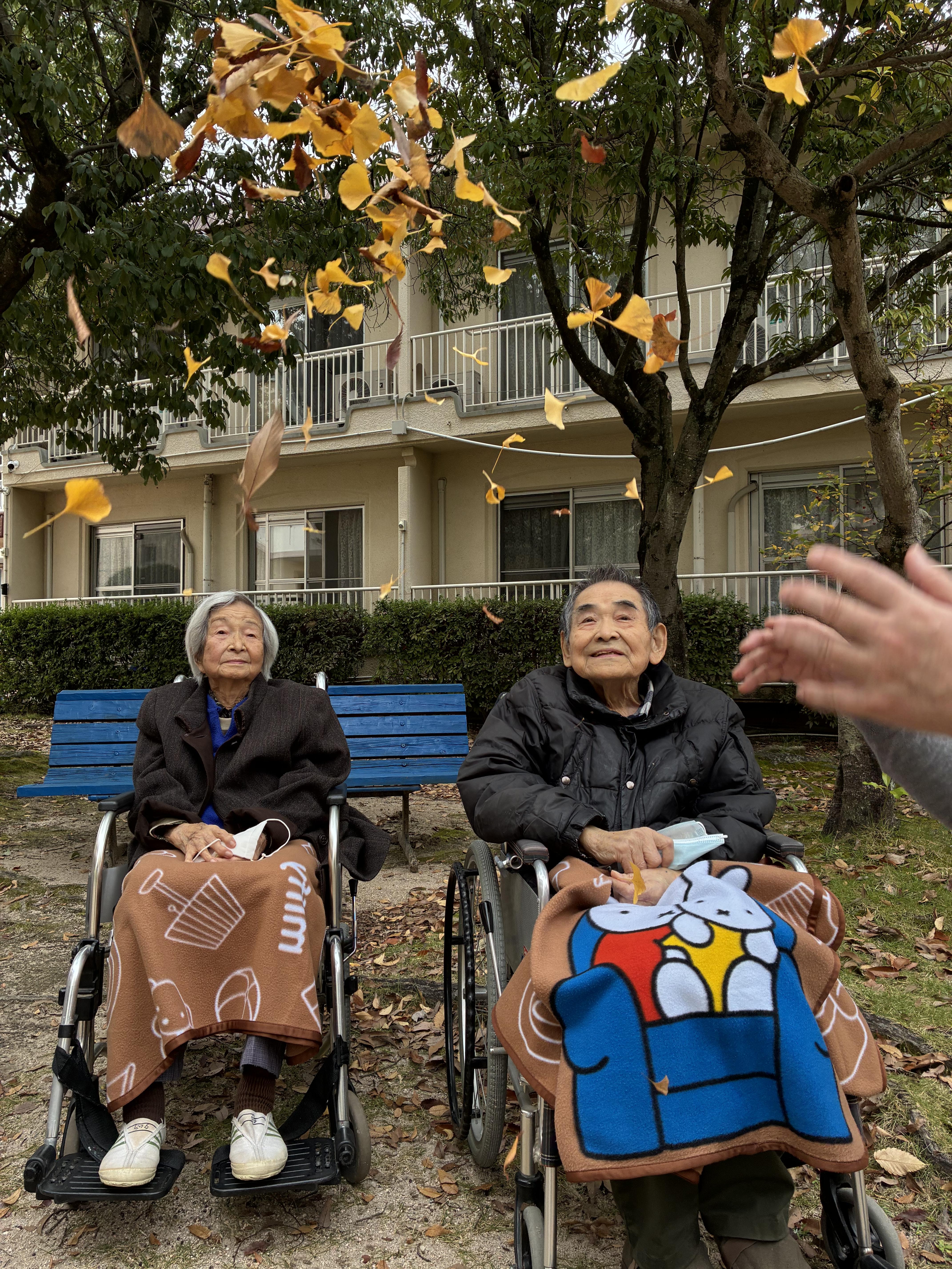 歴史を感じる銀杏の木